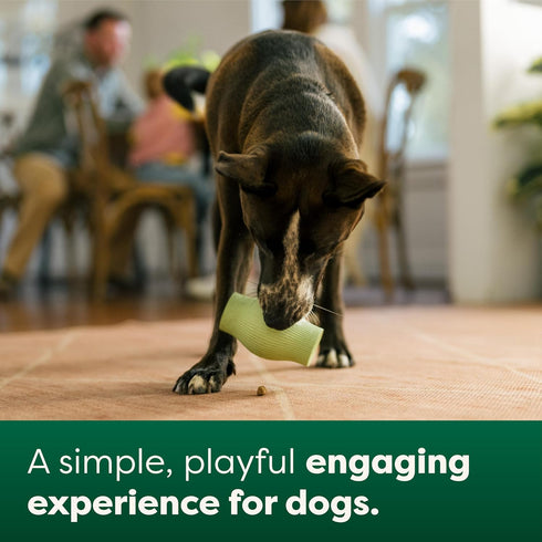 Earth Rated Treat Dispensing Dog Toy - Enrichment Toy for Adult and Puppy Dogs, Large, Green