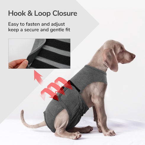 PUMYPOREITY Dog Diaper with Suspender, Escape-Proof Anti-Harassment Garment for Heat Cycle, Incontinence, Puppy