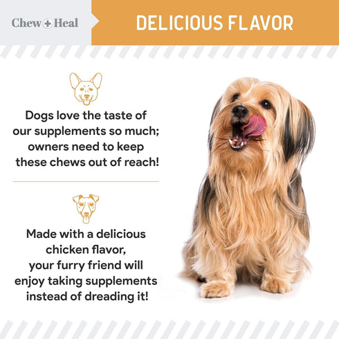 Salmon Oil for Dogs - 60 Soft Chew Omega Treats for Skin and Coat, Fish Oil Blend of Essential Fatty Acids, Made in USA