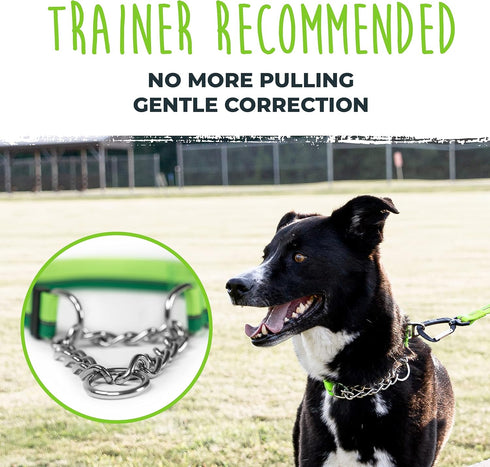 Mighty Paw Martingale Dog Collar 2.0, Trainer Approved Limited Slip Collar with Heavy Duty Buckle & Stainless Steel