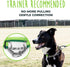 Mighty Paw Martingale Dog Collar - Gentle Correction with 100% Stainless Steel Chain, Weatherproof Nylon, Durable