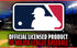 Franklin Sports Plastic Baseballs