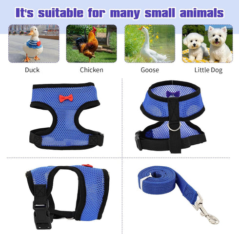 LUODAKA 4Pcs Adjustable Chicken Harness Safe Convenient Breathable Comfortable Suitable for Small Animal Training Can