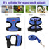 LUODAKA 4Pcs Adjustable Chicken Harness Safe Convenient Breathable Comfortable Suitable for Small Animal Training Can