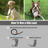 Mile High Life Heavy Duty Slip Leads for Dogs: 4 Feet No Pull Dog Training Leash with Leather Tip, Black Rope Lead