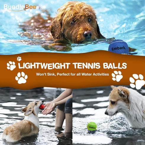 Colorful Squeaky Tennis Balls for Small Dogs, 1.5 Inch 6 Pack, Dog Training Toys for Positive Reinforcement Fetch