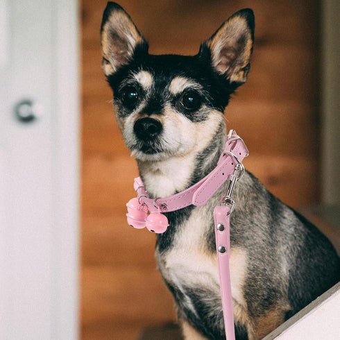 Pet Collar and Leash Combo with Jingle Bell Dog Collar and Pulling Leash Rope Strap for Outdoor Daily Use