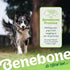 Benebone Maplestick Real Wood Durable Dog Chew Toy, Large, Made in USA