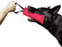 Dingo Gear Tug Toy for Dog Training - Agility Tug of War French Linen Dog Bumper with Handle, 11" Pink S00309