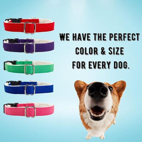 Hemp Dog Collar, Hypoallergenic Padded Adjustable Collar for Small, Medium, and Large Dogs, Small Red