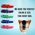 Hemp Dog Collar, Hypoallergenic Padded Adjustable Collar for Small, Medium, and Large Dogs, Small Red