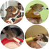 32/40 8.8 oz. Exotic Nutrition ZooPro Milk Replacer Formula for Baby Squirrels