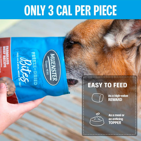 (20oz) Muenster Freeze Dried Beef Bites - Complete Dog Food, Treat, Mixer or Topper - Grain-Free
