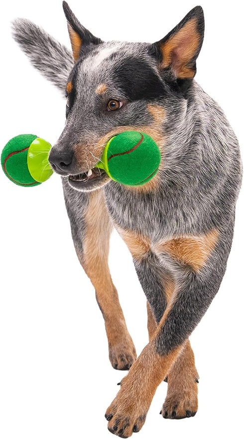 goDog Holiday Collection goBone Double-Sided Tennis Ball Dog Toy, Large Green/Red