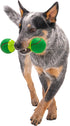 goDog Holiday Collection goBone Double-Sided Tennis Ball Dog Toy, Large Green/Red