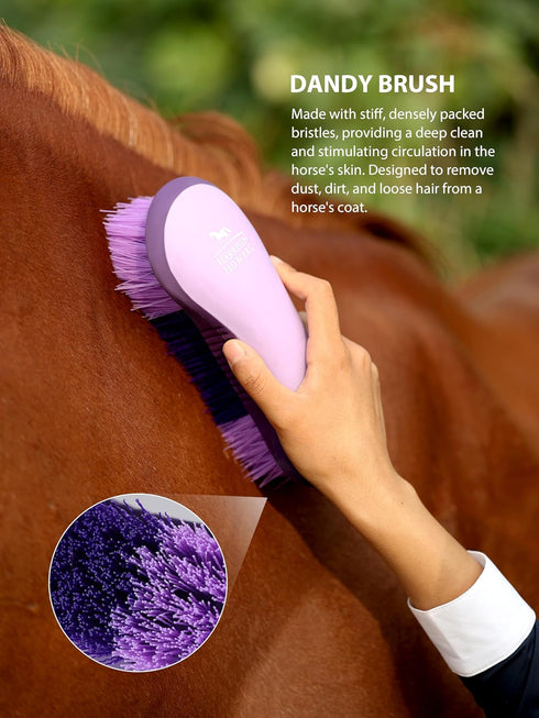 7 Set Harrison Howard Horse Grooming Kit, Piece Horse Brush with Curry Comb, Hoof Pick, Sweat Scraper & Bag Purple