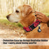 Tactical Dog Collar, Military Adjustable Nylon Dog Collar with Heavy Duty Metal Buckle and Handle for Training (Red, M)