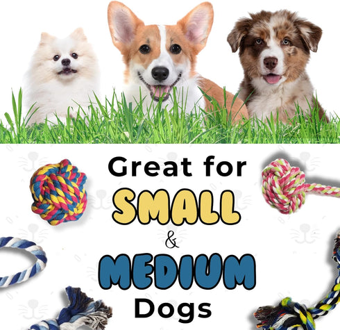 Puppy Dog Pet Rope Toys Set of 4 for Small to Medium Dogs