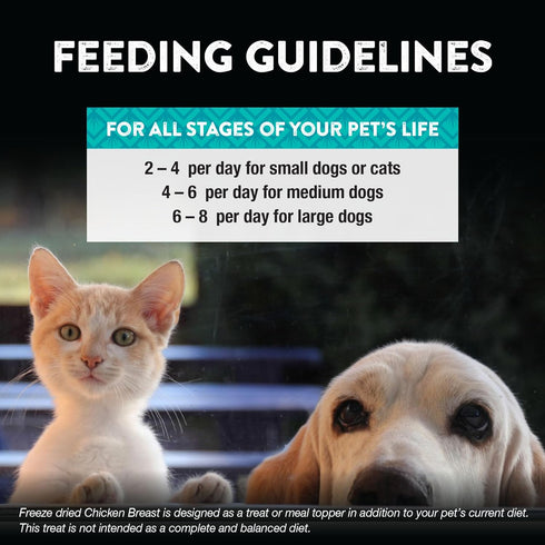 1 10 Oz Northwest Naturals Raw Rewards Freeze-Dried Chicken Breast Treats for Dogs and Cats - Bite-Sized Pieces