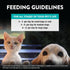 1 10 Oz Northwest Naturals Raw Rewards Freeze-Dried Chicken Breast Treats for Dogs and Cats - Bite-Sized Pieces