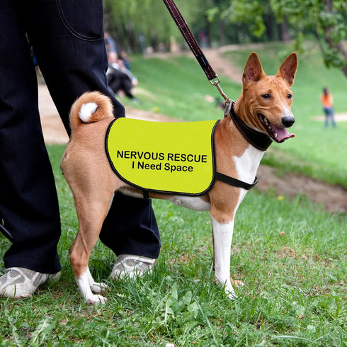 Nervous Rescue Dog Jacket Vest, Dog Walking Slogan Warning Vest, Medium
