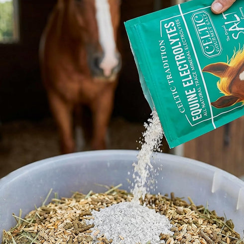 1 lb Celtic Tradition Equine Electrolytes Natural Mineral Salt Supplement for Horses | Replenishes Electrolytes