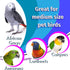 1112 by M&M Rainbow Chew Stick - Handcrafted Breakable Turnable Hanging Bird Cage Toy, Bright Colors, Spinning Sticks
