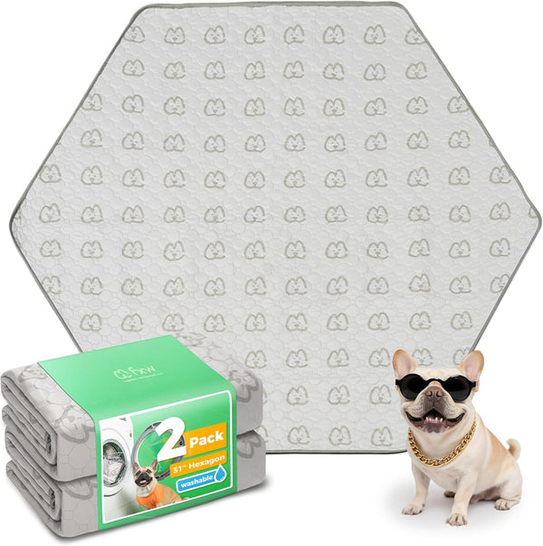 FXW Washable Pee Pads for Dogs, Leak-Proof & Non-Slip, Specifically Designed for