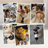 2 Pet Soft Dog Suspenders Pieces Female Dog Diaper Suspenders for Dogs Diaper Keeper Suspender for Dogs Skirt, Dogggy
