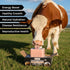 Pack 2 (10.5 lbs) 100% Compressed Himalayan Animal Lick Salt - of Salt Blocks - Pure & Natural Mineral Salt