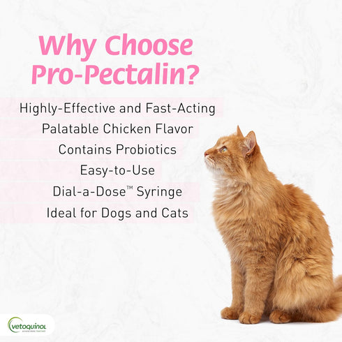 ProPectalin Vetoquinol Pro-Pectalin Oral Paste for Dogs & Cats Chicken Flavor Helps Reduce Occasional Loose Stool