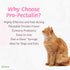 ProPectalin Vetoquinol Pro-Pectalin Oral Paste for Dogs & Cats Chicken Flavor Helps Reduce Occasional Loose Stool