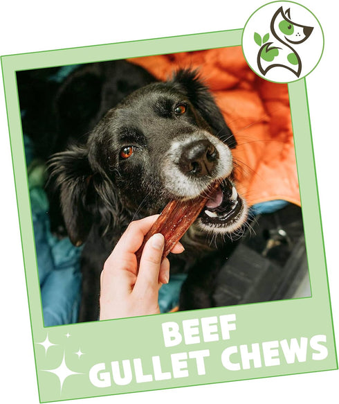 Nature Gnaws Beef Gullet Chews for Small Dogs 4-5" (20 Count) - Rawhide Free Natural Beef Jerky Treats