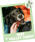 Nature Gnaws Beef Gullet Chews for Small Dogs 4-5" (20 Count) - Rawhide Free Natural Beef Jerky Treats