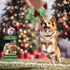 DULZILUZID Christmas Dog Toys, Plush Stuffed Green Dinosaur Animals Toy, Squeaky Dog for Small, Medium, and Large Dogs