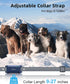 Bousnic Dog Shock Collar with Remote - New Edition 4000FT for Large Medium Small Dogs (8-120lbs) Rechargeable E Collar