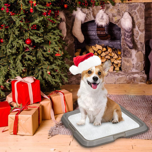 Pawise Pee Pad Holder for Puppy Pads, Training Tray, 23.5"x23.5"