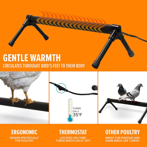 Frozen 36 K&H Pet Products Thermo Heated Chicken Perch for Coop, Warming Chicken Heater, Prevents Toes, Warm Coop