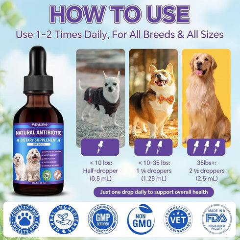 2PCS Immune 120 ml/4 Oz Dog Antibiotics Support - Natural Antibiotics Care for Dogs Herbal Supplement for Cough Allergy