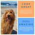 A Better Treat Freeze Dried Salmon Dog Treats - Wild Caught, Gluten Free, High Protein, Made in The USA