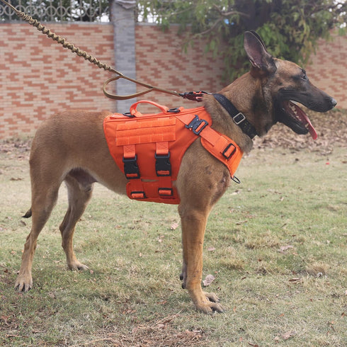 ICEFANG GN3 Tactical Dog Harness with 6X Buckle, Molle Vest with Handle, No Pulling Front Clip (XL, Safety Orange)