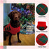 QBLEEV Dog Christmas Sweater for Small Dogs, Warm Knitwear Pullover Holiday Sweaters for Girls Boys XS