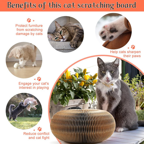 Magic Organ Cat Scratching Board with Toy Bell Ball, Foldable Cat Claw Grinding Pad for Kitty (Black)
