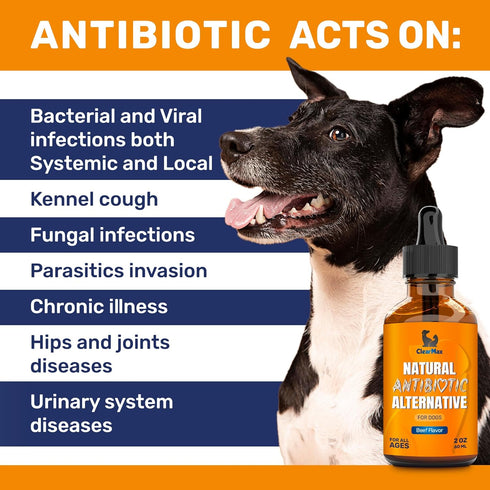 Antibiotic for Dogs ? Dog Antibiotic ? Natural Antibiotics for Dogs ? Pet Antibiotic ? Dog Antibiotics with Beef Flavor ? 2 Oz