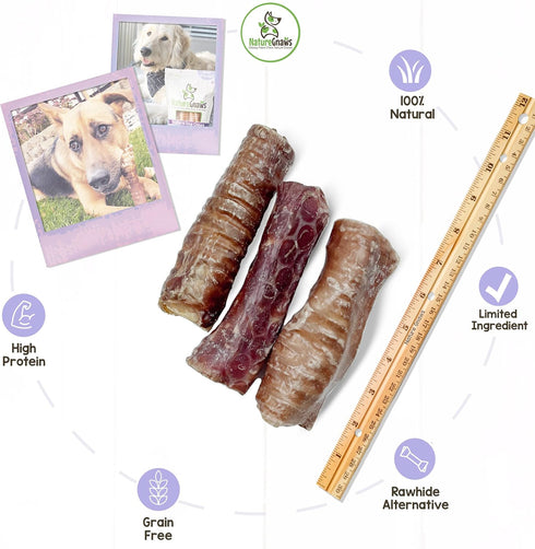 Nature Gnaws Beef Trachea Crunch Wraps for Dogs - Premium Natural Beef Bones - Long Lasting Dog Chew Treats - Rawhide Free - 5-6 Inch, 3 Count (Pack of 1)