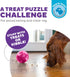 Outward Hound Mazee Puzzle Ball Interactive Treat Dispensing Dog Toy, Pink