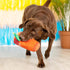 Fringe Studio Plush Dog Toy, Muttchelada, Pet Shop Collection (314162)