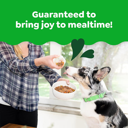 B1, 10 Count Greenies Smart Topper High Protein Wet Mix-in for Dogs, Beef, Peas & Carrots Recipe in Vitabroth Broth
