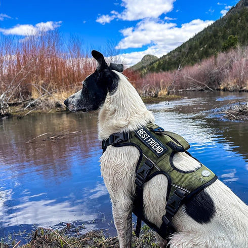AUROTH Escape Proof Dog Harness for Large Dogs, No Pull with Lift Handle, Soft Padded Reflective Vest for Training