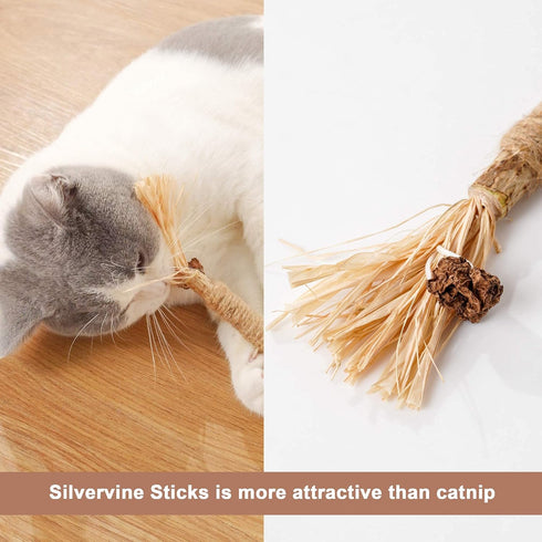 PAZ'S GIFT Catnip Toy, 2pcs Cat Chew Kicking Silvervine Stick, Indoor Interactive Dental Care for Kittens